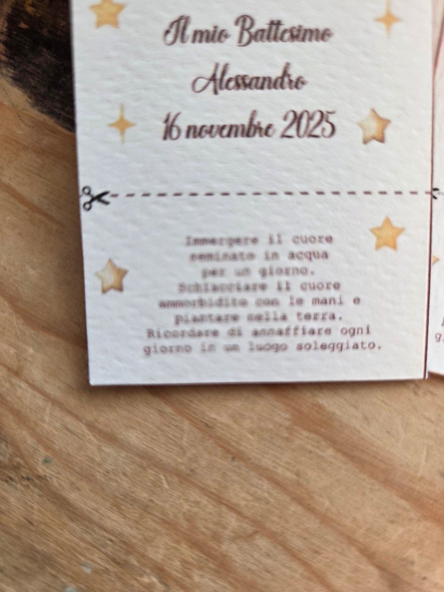 1 Segnaposto /Segnalibro carta ecologica/cuore con semi,quadrifoglio,stella,nuvoletta,personalizzate con semi di fiori ,piantabile ,carta