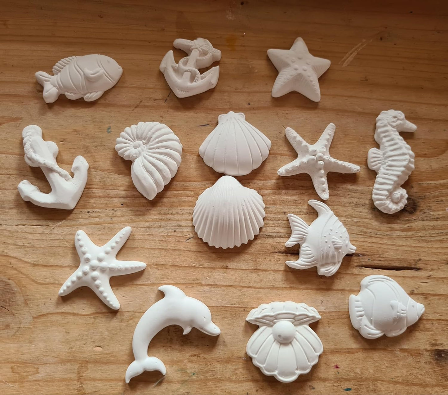 25 Gessetti profumati forme marine conchiglia ,stella marina ,cavalluccio marino