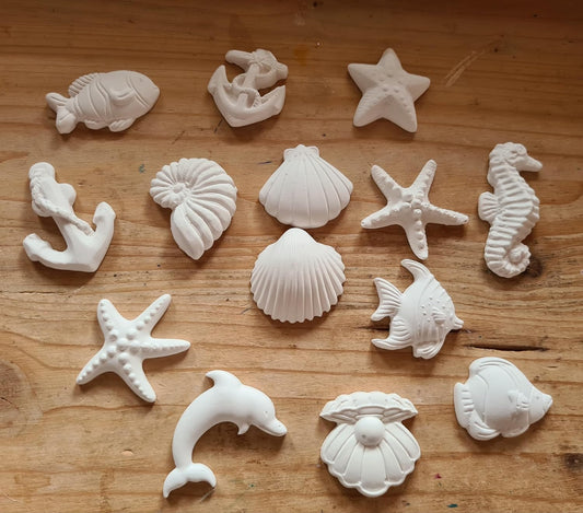 25 Gessetti profumati forme marine conchiglia ,stella marina ,cavalluccio marino