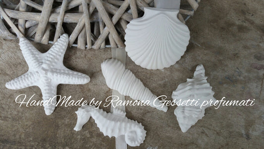 10 Gessetti profumati forme marine miste ,conchiglia, cavalluccio marino, stella marina