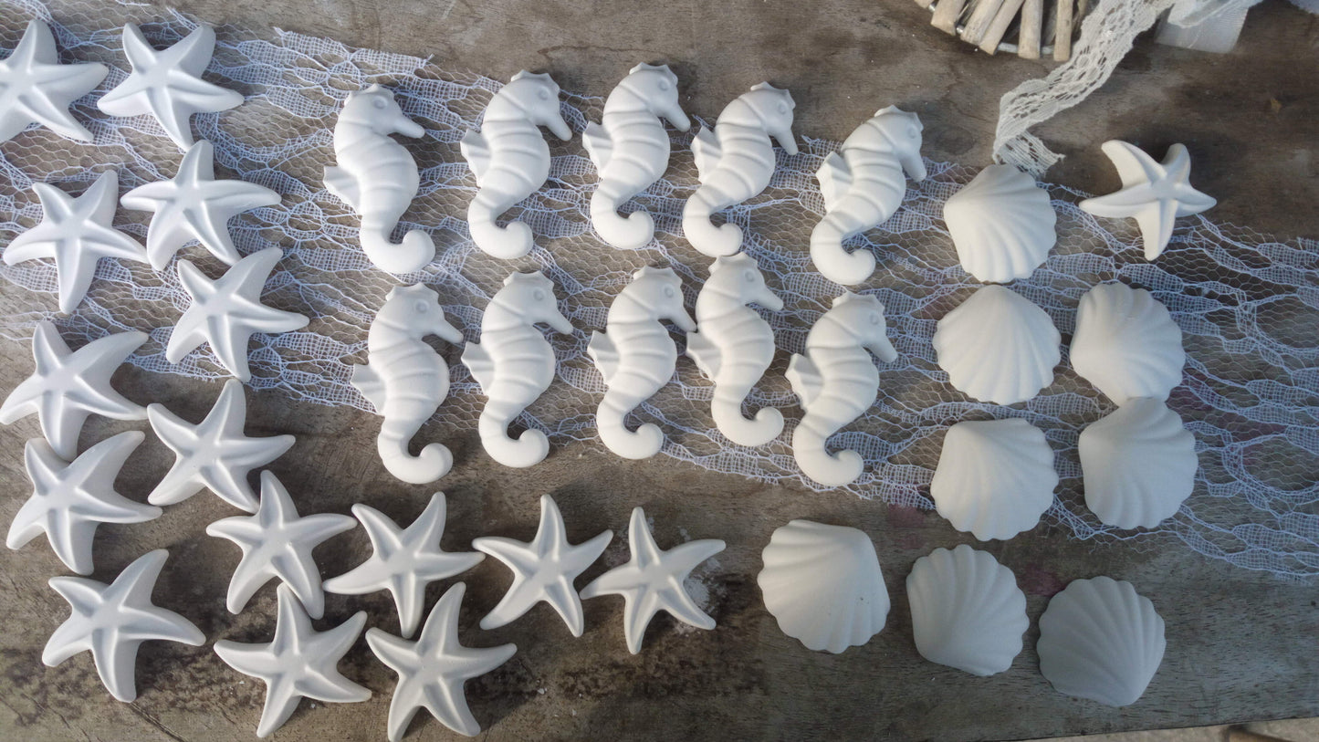 25 Gessetti profumati forme marine conchiglia ,stella marina ,cavalluccio marino